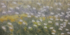 PolarkreisLicht Nr.5
2020
50 x 100 cm
Öl auf Leinwand