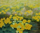 Sumpfdotterblumen, Nr.2
2018
50 x 60 cm
Öl auf Leinwand
