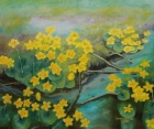 Sumpfdotterblumen, Nr.1
2018
50 x 60 cm
Öl auf Leinwand