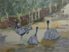 Emus
2013
60 x 80 cm
Öl auf Leinwand
