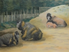 Bisons
2012
60 x 80 cm
Öl auf Leinwand
