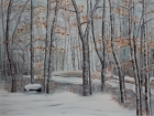 Winterwald Hönigtal
2011
60 x 80 cm
Öl auf Leinwand
