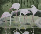 Rosa Flamingos
2011
50 x 60 cm
Öl auf Leinwand
