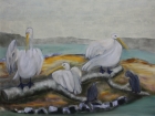 Pelikane und Kormorane
2011
60 x 80 cm
Öl auf Leinwand
