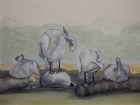 Pelikane
2011
60 x 80 cm
Öl auf Leinwand
