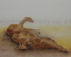 Lamas
2009
40 x 50 cm
Öl auf Leinwand