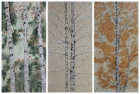 Birken, Triptychon
2013
3x (80 x 40 cm)
Öl auf Leinwand