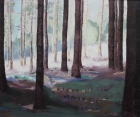 Waldhang
2008
50 x 60 cm
Öl auf Leinwand