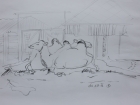 Tierpark Herberstein, Kamele, Studie Nr.1
2012
30 x 42 cm
Grafitstift