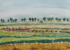 Landschaft am Neusiedler See
2004
36 x 51 cm
Aquarell