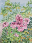 Beerenbeet mit Begonie
2018
40 x 30 cm
Aquarell