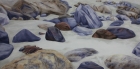 Küstenimprovisation Nr.3
2020
50 x 100 cm
Öl auf Leinwand