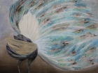 Balzender Pfau Nr.2
2017
60 x 80 cm
Öl auf Leinwand
